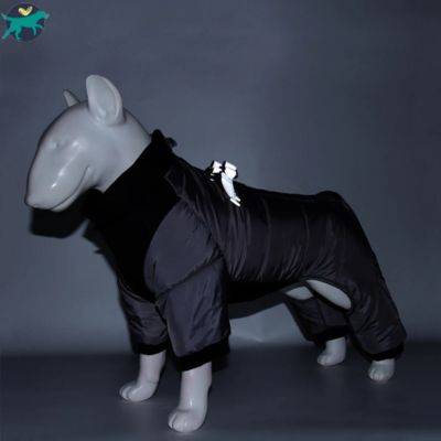 manteau-chien-noir_ce7e85bf-65ab-496c-a558-8d852a59f2c7