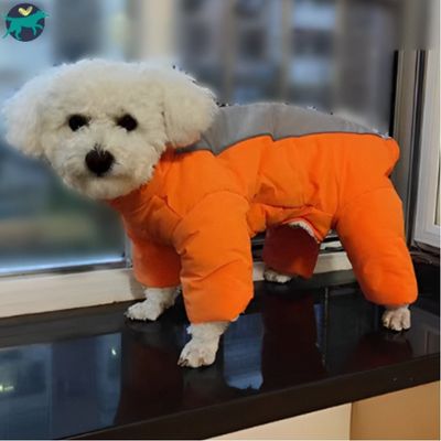 manteau-chien-orange