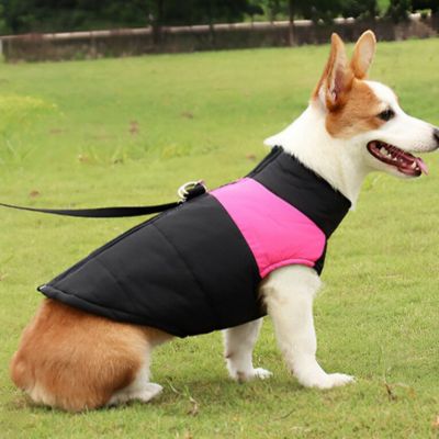 manteau-chien-rose