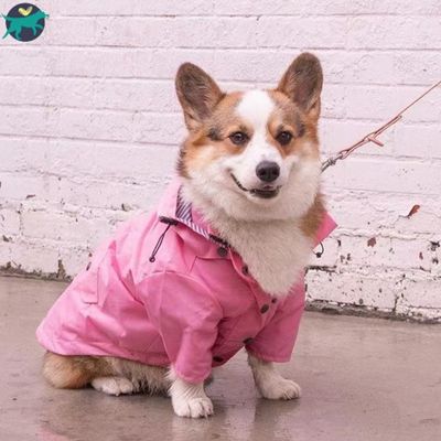 manteau-chien-rose