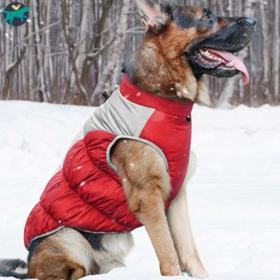 manteau-chien-rouge