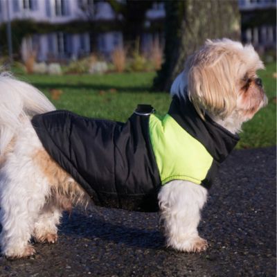 manteau-chien-rose