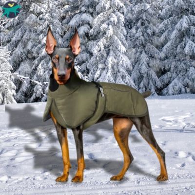 Manteau Chien  | PawCape™