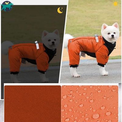 manteau-chien-visible