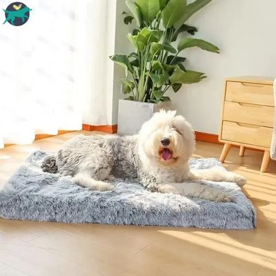 matelas-chien-confortable