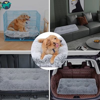 matelas-chien-confortable