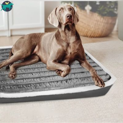 matelas-pour-chien-bonne-qualite