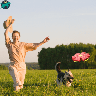 meilleur-jouet-pour-chien