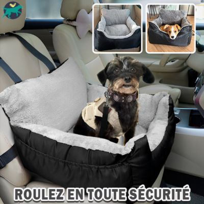 panier-chien-voiture