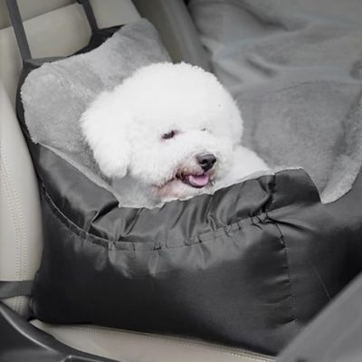 panier-chien-voiture