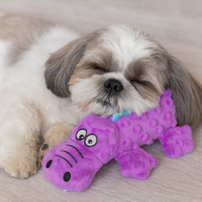 peluche-chien-crocodile-mauve