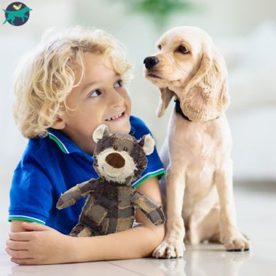 peluche-pour-chien-indestructible