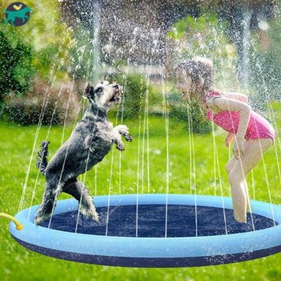 piscine-pour-chien-bleu