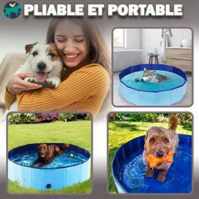 piscine-pour-chien-cadeau