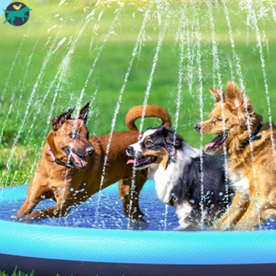 piscine-pour-chien-pratique