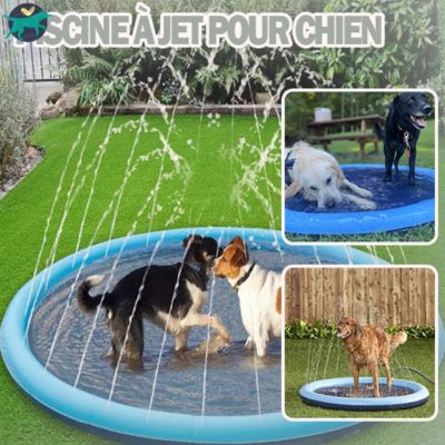 piscine-pour-chien-ronde