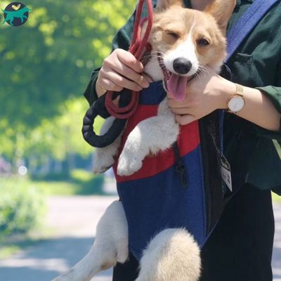 sac-de-transport-chien-bleu