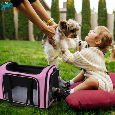 sac-de-transport-chien-rose_c46d90e6-629b-45b2-b136-1e2805c55033