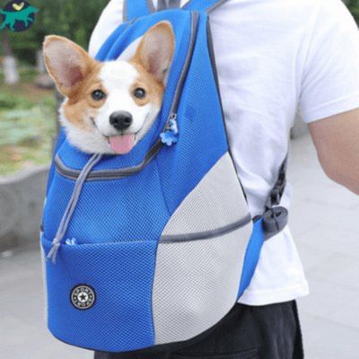 sac-de-transport-pour-chien-bleu