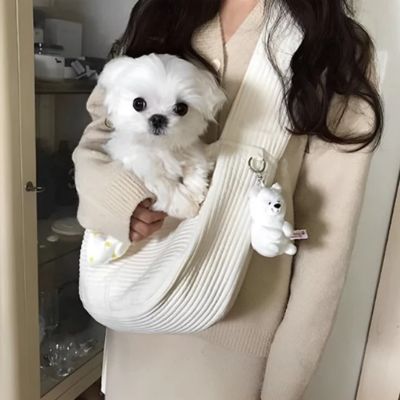 sac-de-transport-pour-chien-confortable_