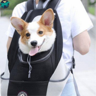 sac-de-transport-pour-chien-noir