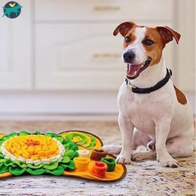 tapis-de-fouille-chien-orange