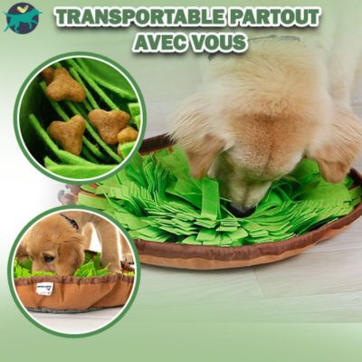 tapis-de-fouille-chien-transportable