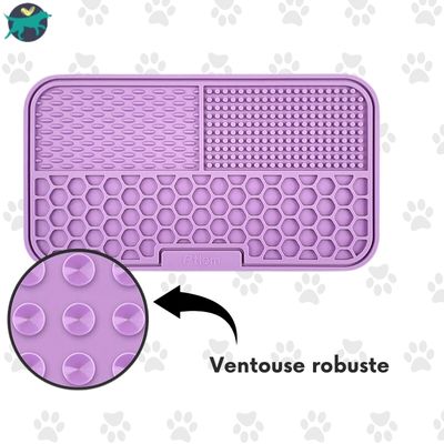 tapis-pour-chien-alimentation