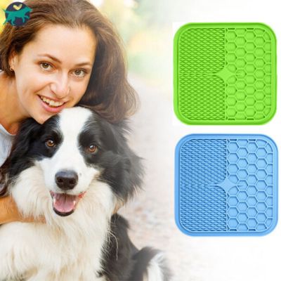 tapis-pour-chien-bleu-vert