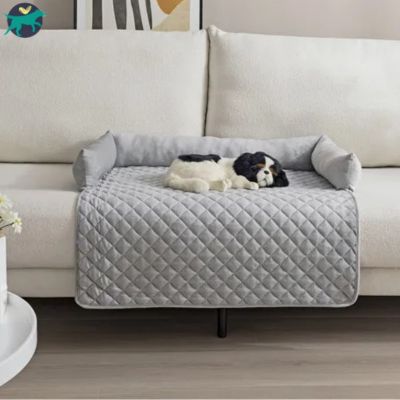 tapis-pour-chien-canapé