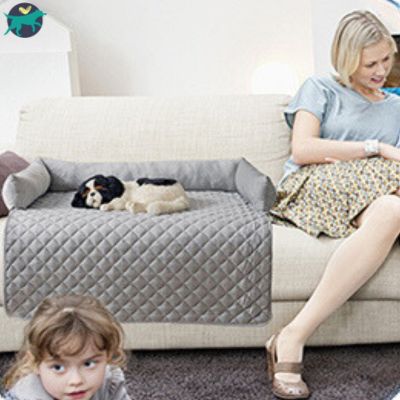 tapis-pour-chien-confortable
