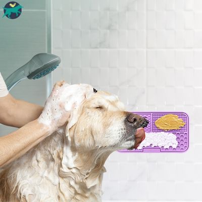 tapis-pour-chien-douche