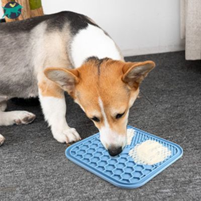 tapis pour chien durable