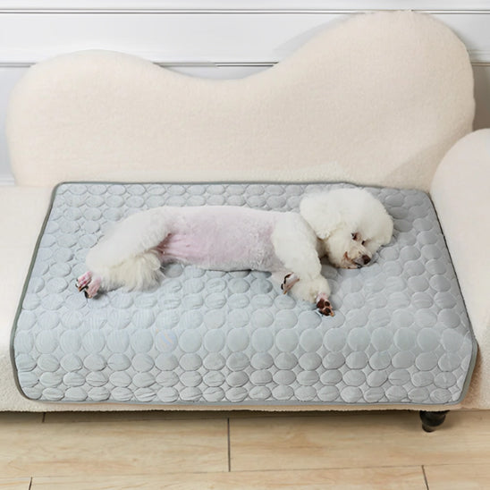tapis-rafraichissant-chien-leger-absorbant-gris