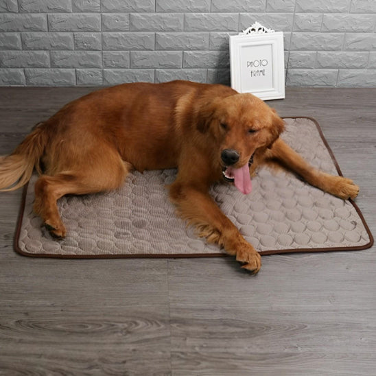 tapis-rafraichissant-chien-leger-brun