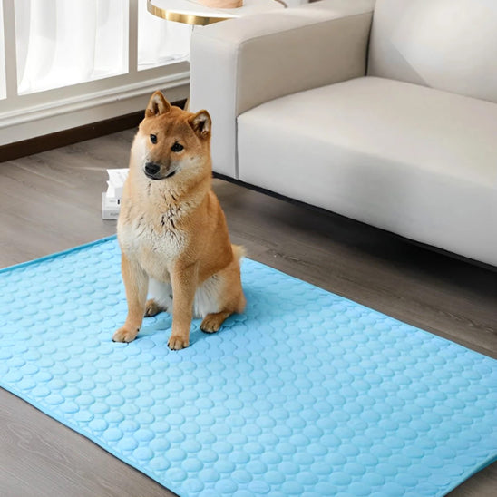 tapis-rafraichissant-chien-leger-grand