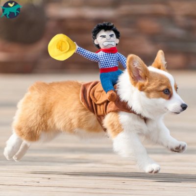COSTUME POUR CHIEN | DogBoy™ - Malin et Câlin