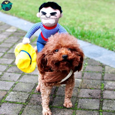 COSTUME POUR CHIEN | DogBoy™ - Malin et Câlin