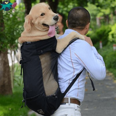 SAC DE TRANSPORT POUR CHIEN | DogPack™ - Malin et Câlin