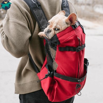 SAC DE TRANSPORT POUR CHIEN | DogPack™ - Malin et Câlin