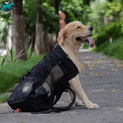 SAC DE TRANSPORT POUR CHIEN | DogPack™ - Malin et Câlin