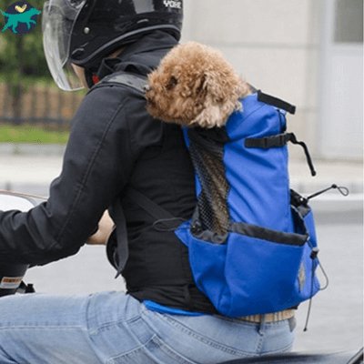 SAC DE TRANSPORT POUR CHIEN | DogPack™ - Malin et Câlin